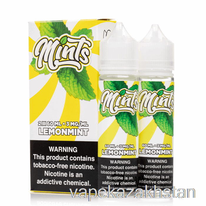 Vape Kazakhstan Lemonmint - Mints Vape Co - 120mL 0mg